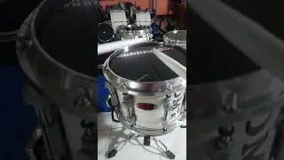 Hasil Tuning Tipis #snaresemihts #snaredmt #dmt @#alatdrumbanddmt