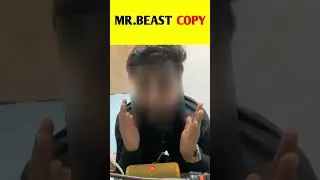 MR Beast Copy #facts #amazing #funny #experiment #mrbeast #mrbeastcopy #youtubeshorts #nikkuvlogz