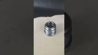 Piston rod guide CG for HM0, HM1, HM2, HM5, HFR, HFR2S, HMB, HMC, HMF 250 bar Contarini