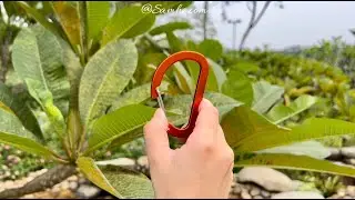 The Application of our Carabiners. (OUTDOOR | PROMOTIONAL GIFTS | PET ACCESSORY | LUGGAGE | EDC )
