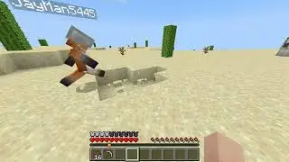 Minecraft with my friends