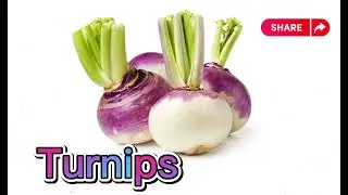 Learn Vegetables Name in English/Healthy Vegetables/ Vegetables Name