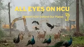 ALL EYES ON HCU | Green vs  Gray  The University of Hyderabad Land Dispute