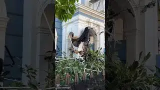 skeleton mansion#funny #halloween #skeleton #viral #bird 😎💀👻🎃🦇