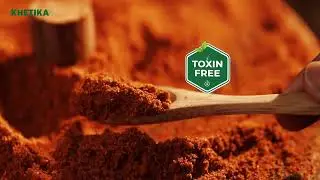 Pure Powdered Spices from Authentic Origins | Khetika Turmeric, Chilli & Coriander