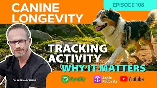 Canine Longevity 108