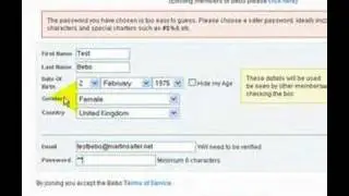 Bebo Social Networking