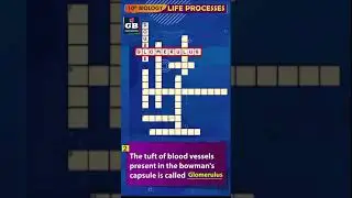 Puzzle-19 #LifeProcesses CBSE 10th Science Biology Term-1 |NCERT class 10 Most imp questions #Shorts
