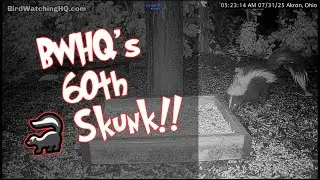 Skunk 🦨 #60 @BWHQ - 7.31.25