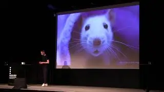 Deep Learning for Self-Driving Cars by Erik Ros&eacute;n