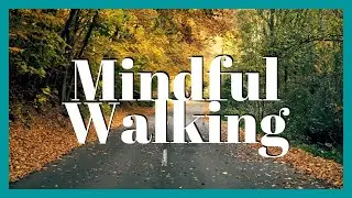 Guided Mindful Walking | Intentional Living