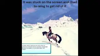 James' Dialogue Stuck on Screen (star stable glitch)