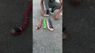 Testing 4 RC Snakes