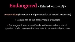 13 Powerful Safety Words to Add to Your Vocabulary
