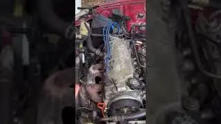 Try not to laugh - 😂 - How to be a Redneck - USA