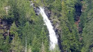 🔊 Constant Soundscape on a Mountain Trail