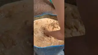 Daily routine day 1 #dairyfarm #dairycows #dairyfarming #trendingshorts #youtubeshorts #shortvideo