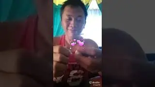 suplemen alami. bawang lanang