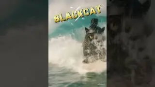 Blackcat7 #fatcatspy #ai #motivation #reels #youtube #capcut #travel #cat #tutorial #capcutedit