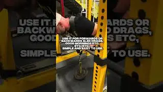 Push Up Harness