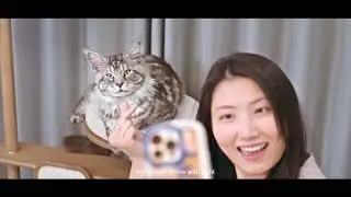 Weimiao Pet Furniture Collection | Designer Cat Beds, Carriers & Scratchers