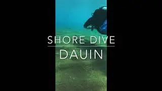 diving in Dauin 23Aug2019