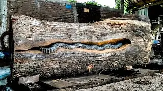 Sawmilling Expertise ‼️ Processing Trembesi Logs in Miami