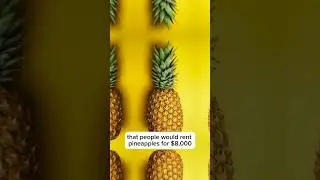 Renting a Pineapple for $8000 🍍 #history #pineapple #interestingfacts #shorts