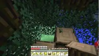 Minecraft Hunger Games Ep.7 - A WTF Finale!.wmv