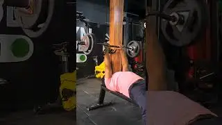 Effective Triceps Workout  💪🏼🔥 #exercise #fitness #gym #gymtok #workout #shorts