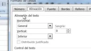 Excel 2010  Alinear Texto