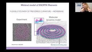Life Sessions/Bioinfo4Women: Non-equilibrium molecular assembly: from NON-LIVING to LIVING and back