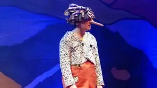 Pinocchio