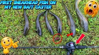 💥😱 FIRST SNEAKHEAD FISH ON MY NEW BAITCASTER ‼️ #sneakheadfishingtamil #sneakheadfishing #fishing 