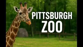 Pittsburgh Zoo and Aquarium Part-2 [Vlog#19]
