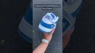 IN-HAND VIEW OF THE BORN X RAISED SB DUNK LOW
