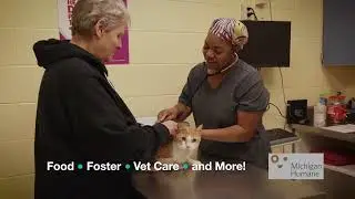 Michigan Humane: Field Services