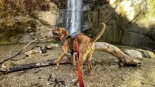 Trail Canyon Falls