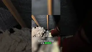 Relocating the Consumer Unit: A Tough Electrical Upgrade