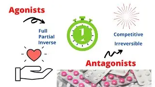 Agonists/antagonists in less than ONE minute