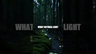 Nature Daily Wonder Glowworms in Moss
