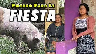 Ya TENEMOS Un CERDO Para La FIESTA, Suscriptor Nos lo Va a DONAR
