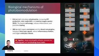 DISCOVERY LEVEL 1 | LIGHTFORCE: BIOLOGICAL MECHANISM (PT)