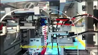 Parts Vision Counting And Packaging Machine | Automatic Parts Counter | Industrial Line