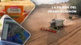 La Filiera del grano Plasmon digitalizzata con xFarm 🌾