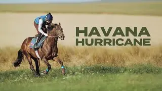 Havana Hurricane | Weatherbys Super Sprint Contender