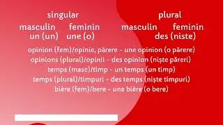 articolul nehotarat in franceza
