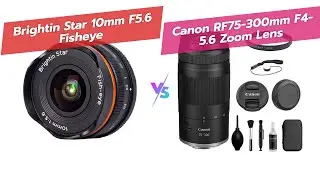 Сравнение объективов Brightin Star 10mm F5.6 Fisheye и Canon RF75-300mm 📷🔍