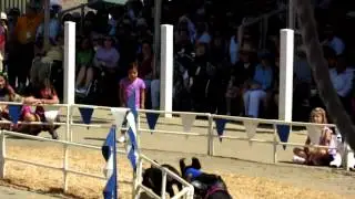O.C. Fair: Pig Race over Hurdles - 2012 (1080p HD)