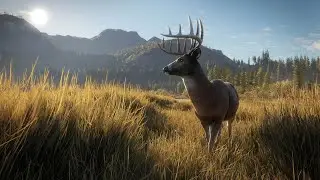 We played hunter called the wild for the first time on PC